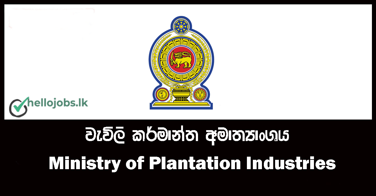 Project Engineer Senior Technical Officer Ministry Of Plantation