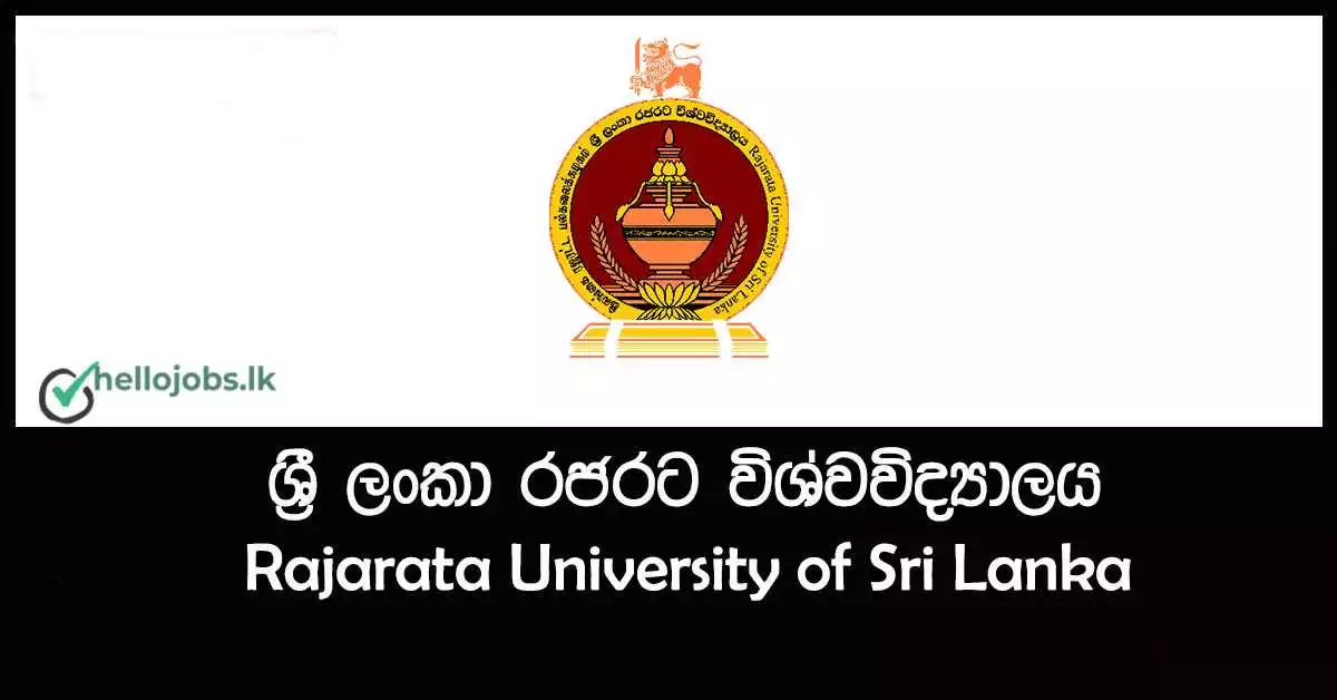 Assistant Lecturer - Rajarata University Government Job Vacancies 2024