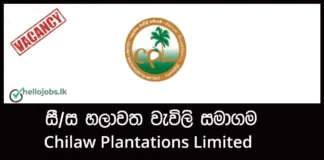 Assistant Superintendent – Chilaw Plantations Limited Job Vacancies 2026