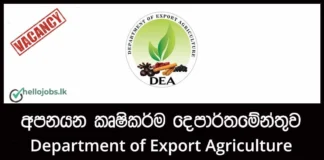 House Warden – Department of Export Agriculture Job Vacancies 2026