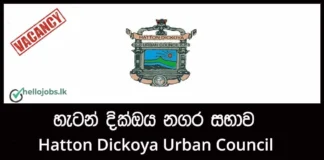 Health Worker, Field Workers Job Vacancies 2026 – Hatton Dickoya Urban Council