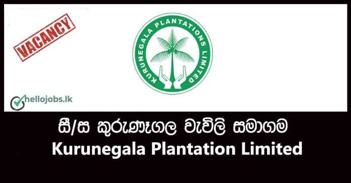 Government Jobs Sri Lanka 2022 Assistant Superintendent Area
