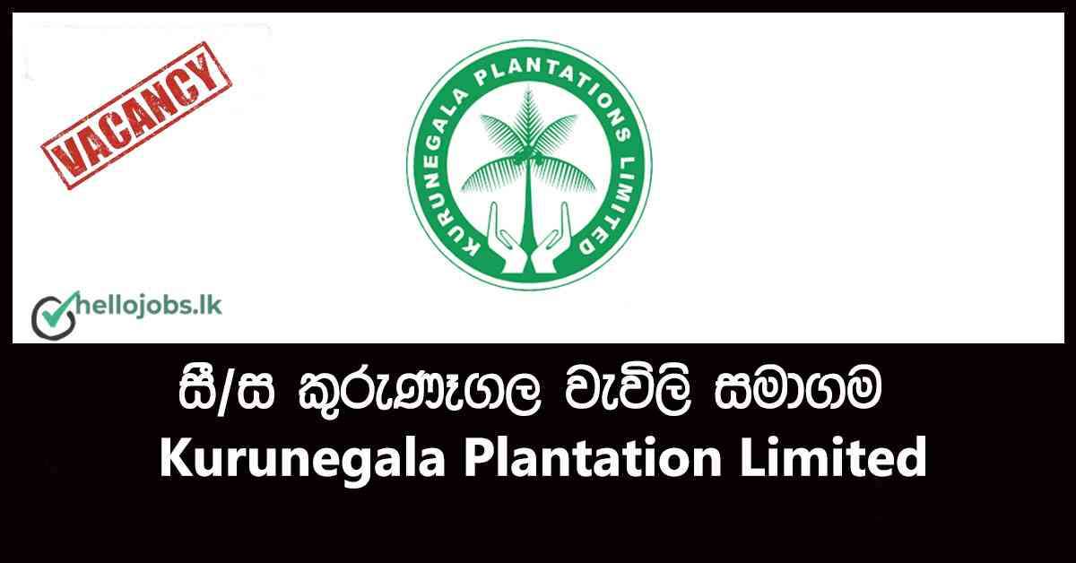 Government Jobs In Sri Lanka Management Assistant, Audit Assistant ...