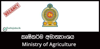 Technical Officer, Building Overseer – Ministry of Agriculture Job Vacancies 2026