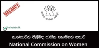 Management Assistant, Internal Auditor, Assistant Director Driver Job Vacancies 2026 – National Commission on Women