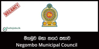 Fire Officer Job Vacancies 2026 – Negombo Municipal Council