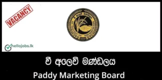 Systems Administrator Job Vacancies 2026 – Paddy Marketing Board