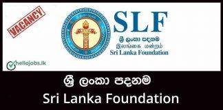Hostels and Catering Manager Job Vacancy – Sri Lanka Foundation