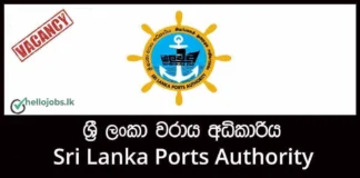 Boatman Job Vacancies 2026 – Sri Lanka Ports Authority Sri Lanka Ports Authority.jpg