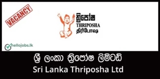 Management Assistant, Fitter, Boilerman Job Vacancies – Sri Lanka Thriposha Ltd