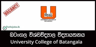 Senior Lecturer, Lecturer Job Vacancies 2026 – University College of Batangala