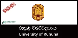 Assistant Registrar, Pharmacist – University of Ruhuna Job Vacancies 2025