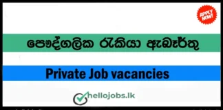 Car Washer Job Vacancies